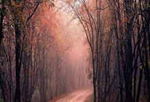 一夫当关聂卫平!首届中日围棋擂台赛纪事.