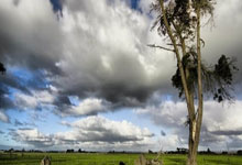 国乒战胜罗马尼亚队,晋级混合团体世界杯四强人民日报客户端.